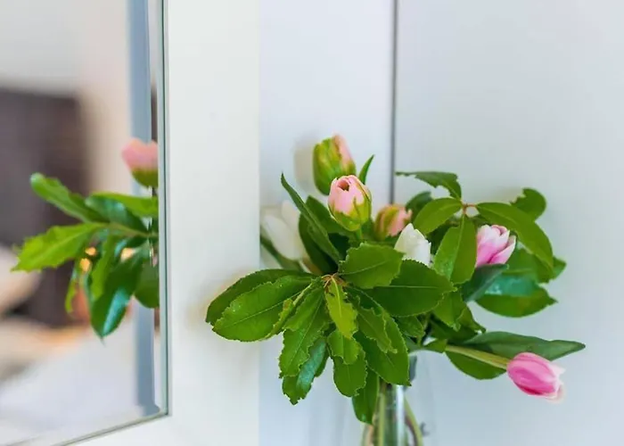 Dubrovnik: Quiet Corner